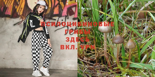 гидропоника Балабаново